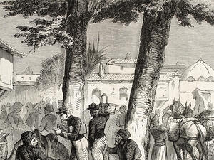 Have you ever come across a tree half as old as time and felt like a million stories and long history must have took place around it? How many civilizations it witnessed, wars, farms, markets and even love stories? 