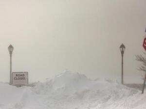 ثلوج كاليفورنيا