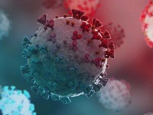 سلالة "أوميكرون"