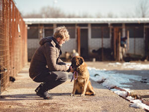 Syrian Team for Animal Rescue