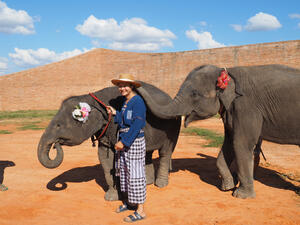 woman's hat stolen by an elephant