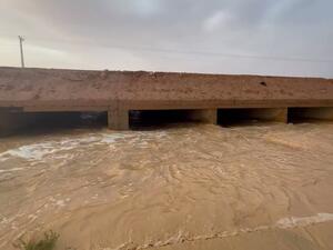 سيول في السعودية