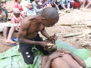 شحذ الأسنان.. تقليد متوارث لأقزام البيغمي بأفريقيا