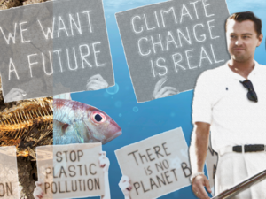 Is Leonardo DiCaprio an Eco-Hypocrite?