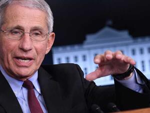 أنتوني فاوتشي