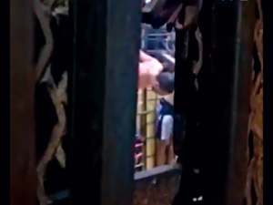 torture in Egypt