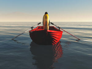 Penguin jumps onto a passing boat to escape hungry seal