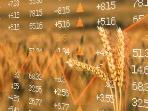 Wheat futures
