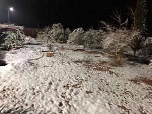 الثلوج تغطي قمم جبال جنوب سيناء