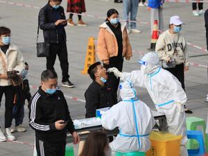 البيئة بين الجائحة والاجتياح