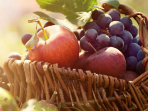 ADQ To Expand Its Food & Agriculture Portfolio by Acquiring Significant Stake in Global, Fresh Fruit Leader, Unifrutti