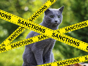 Russian Cats