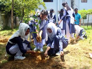 environment protection