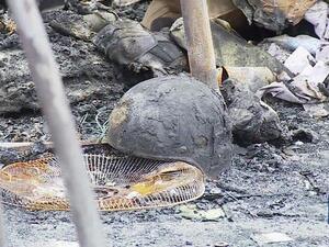 جاء القصف وفق ما اعتبرته ايران ردا على مصرع ضابطين كبيرين من مليشيا الحرس الثوري 