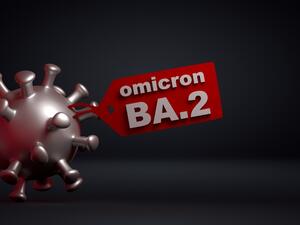 sub-variant of Omicron