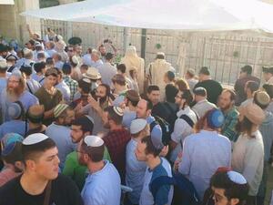 مستوطنون يقتحمون المسجد الأقصى تحت حماية أمنية