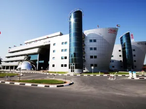 Dubai Customs Completes 381,000 Declarations During Eid Al-fitr Holiday 