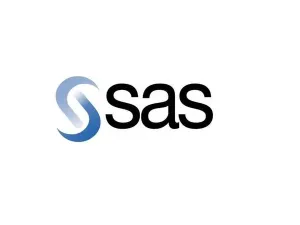 SAS program boosts data literacy, prepares kids for a data-driven future, and improves their hitting