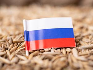 Pakistan to Import Wheat from Sanctioned Russia with Cash Payment