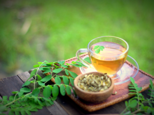 متى يشرب شاي المورينجا للتخسيس