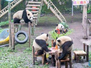 A panda birthday party 