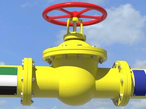 France In Talks with UAE to Replace Russian Oil, Diesel