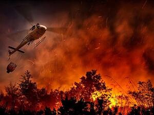  فرق الإطفاء على وشك احتواء حريق آخر تماما في غابة في محافظة تاونات