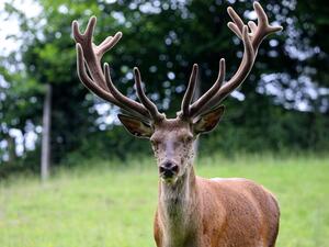 تيرول النمساوية تبهر الزوار بتضاريس جبال الألب الخلابة