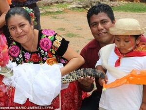 Marrying an alligator 