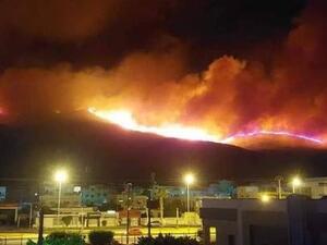 حرائق تلتهم غابات تونس