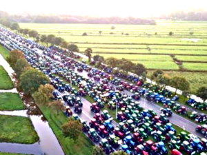 'The Dutch Rising'? Why Are Netherlands Farmers Protesting?