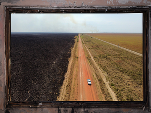 8 Ways Wildfires Are Harming the Global Economy