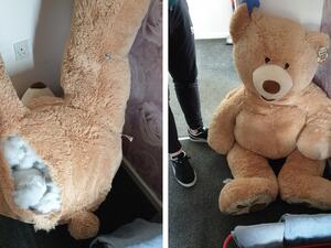 الشرطة البريطانية تعتقل دمية "دبّ" تتنفس