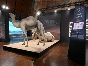 معرض يروي هجرة النبي محمد بأعمال فنية معاصرة