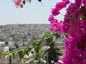 Amman 