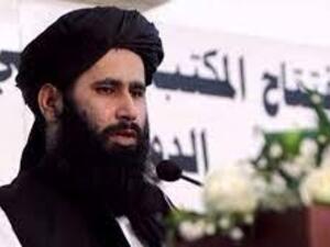 ذبيح الله مجاهد