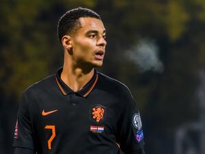 Netherlands' forward Cody Gakpo looks on during the FIFA World Cup Qatar 2022 qualification Group G football match between Latvia and The Netherlands, in Riga, Latvia, on October 8, 2021. (Photo by Gints Ivuskans / AFP)