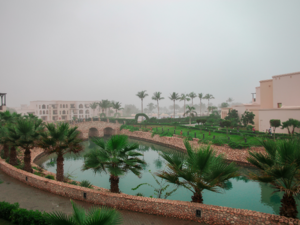 Destination Dhofar: The tropical side of Oman