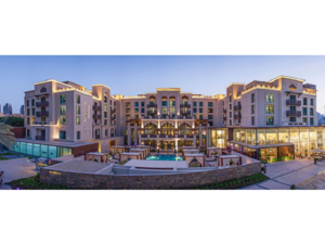 Celebrate World Dog Day at Pet-Friendly, Vida Hotels and Resorts