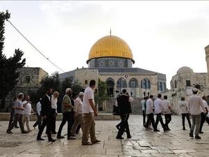 مستوطنون يقتحمون باحات المسجد الأقصى تحت حماية قوات الاحتلال 