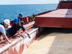 7 سفن أخرى غادرت موانئ أوكرانيا ضمن صفقة حبوب