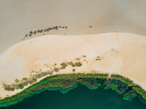 Rehlat: Al Ahsa, Aseer & Taif Top 3 Summer Getaways of Saudi Arabia