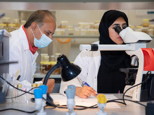 إنجاز علمي جديد على المستوى الدولي لجامعة الإمارات