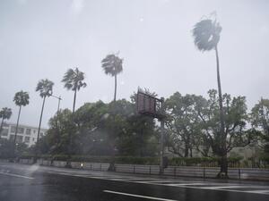 رياح قوية تعصف بالأشجار في مدينة كاجوشيما