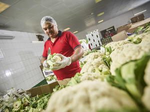Innovative Food Systems key to Tackling Global Food Crisis, say Experts