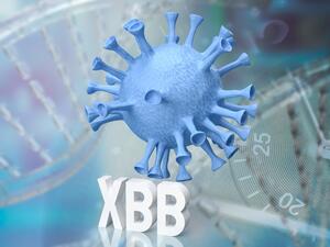 ما هو متحور كورونا "XBB" الجديد؟