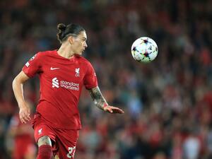 داروين نونيز (المصدر: أ ف ب)