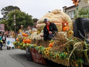 يقطينة أمريكية تزن أكثر من طن