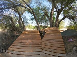 مجلس دبي الرياضي وبلدية دبي ينظمان سباق الدراجات الجبلية (23 أكتوبر)