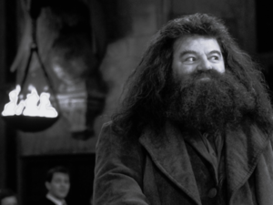 Stars Mourn Late Harry Potter Star Robbie Coltrane
